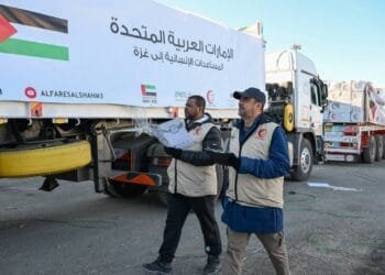 100 trucks carrying 1,442 tonnes of UAE aid entered Gaza since start of ceasefire