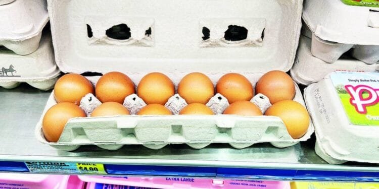 100,000 eggs worth $40,000 stolen from trailer amid national shortage