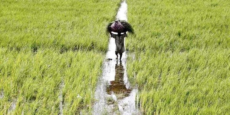 Food security in a Food security 1 Food security in a Food security