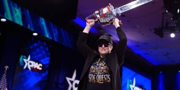 VIDEO: Chainsaw-wielding Elon Musk savors Trump's return to White House