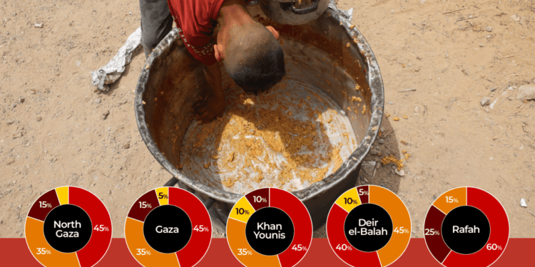 What is famine, and why is Gaza at risk of reaching it soon?