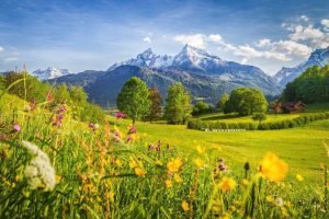 bavarian alps idyllic mountain scenery