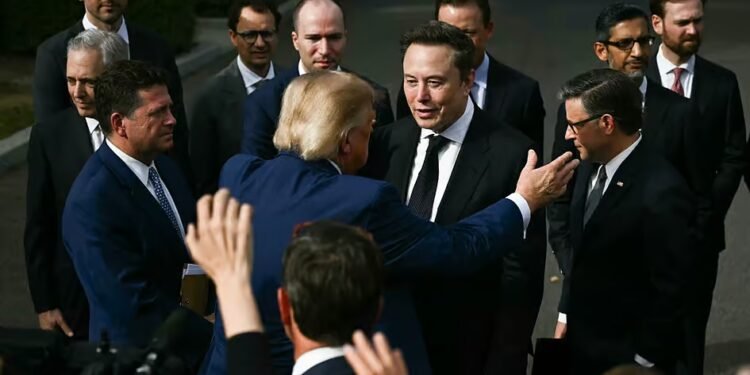 Trump to give Elon Musk, other tech bosses top US science medal at ceremony