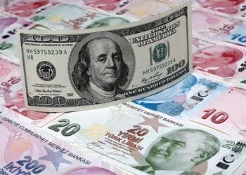 UAE and Gulf investors pour money into US Treasuries as yields hit 20-year high
