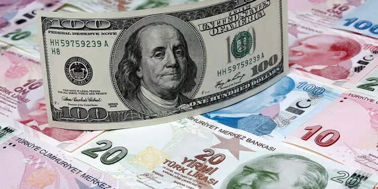 UAE and Gulf investors pour money into US Treasuries as yields hit 20-year high