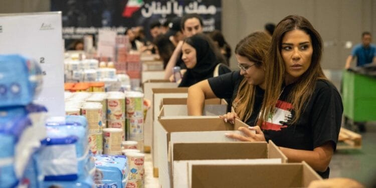 22 planes, 2 ships loaded with aid sent by UAE to Lebanon in 3 months