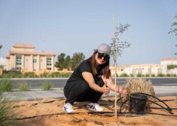 300 trees planted in Abu Dhabi’s Al Masar Park