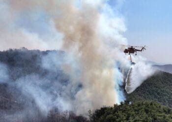 4 killed, 6 injured as wildfires ravage S.Korea’s southeastern region