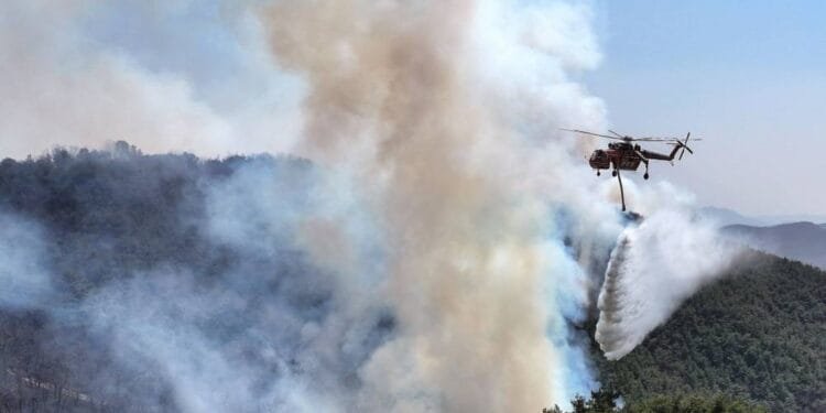 4 killed, 6 injured as wildfires ravage S.Korea’s southeastern region