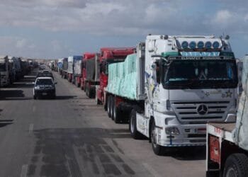 600 trucks of humanitarian aid entering Gaza daily since ceasefire: WFP