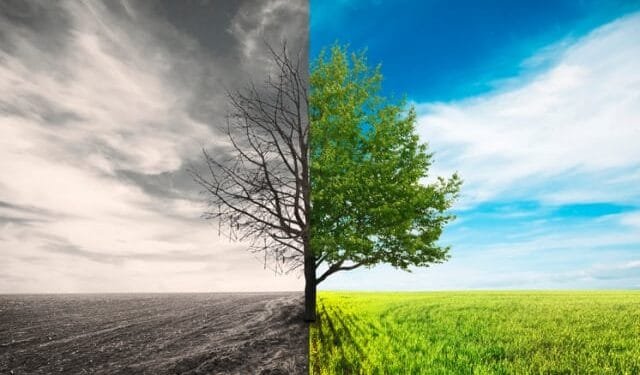 Climate change bleeds Pakistan’s economy