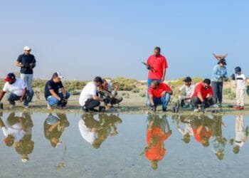 6,850 mangrove trees planted in Jebel Ali sanctuary