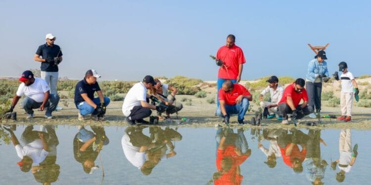 6,850 mangrove trees planted in Jebel Ali sanctuary