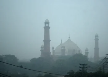 A Peep into Punjab’s Environmental Struggles