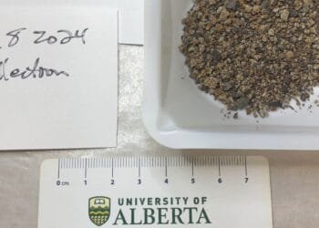 A meteorite strike was captured on video by a Canadian home’s doorbell camera