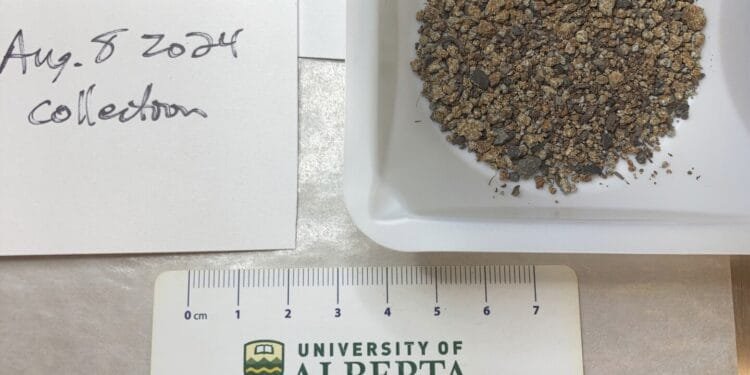 A meteorite strike was captured on video by a Canadian home’s doorbell camera