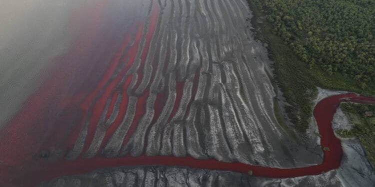 A stream turns blood red in Argentina, residents blame pollution