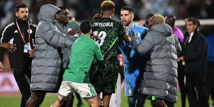 AFCON 2025 organisers investigate clashes at Nigeria, Morocco games