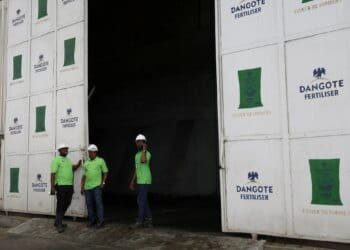 African governments need to take urgent action on fertiliser shortages