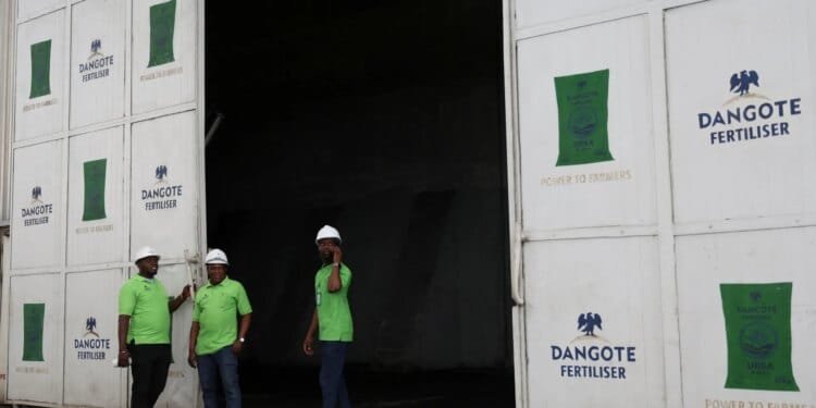 African governments need to take urgent action on fertiliser shortages