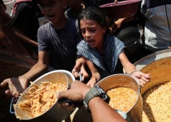 Aid seekers in Gaza continue to be targeted as Israeli attacks kill 26