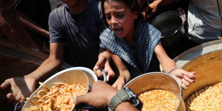 Aid seekers in Gaza continue to be targeted as Israeli attacks kill 26