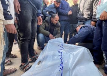 Aid worker among dozens of people killed by Israeli attacks across Gaza