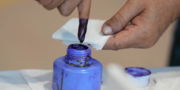 All the big elections to look out for in 2026