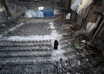 An open letter from the presidents of Gaza universities