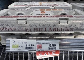 Are egg producers inflating prices during the bird flu outbreak to boost profits?