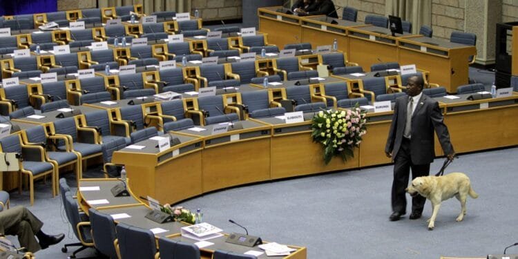 As UN agencies mull Kenya move, some fear exclusion from Nairobi’s growth