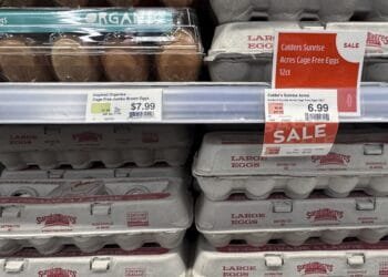 As egg prices continue to soar, grocers like Trader Joe’s limit how many cartons customers can buy