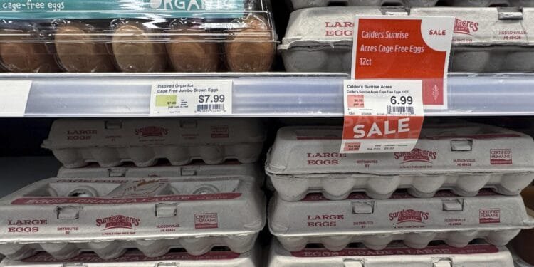 As egg prices continue to soar, grocers like Trader Joe’s limit how many cartons customers can buy