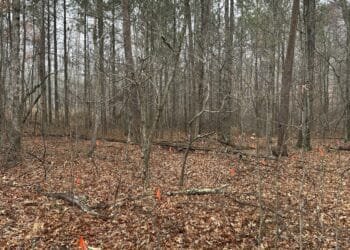 Black graves are being moved to make way for an industrial park, drawing a mix of emotions