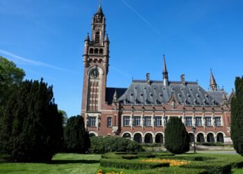 Brazil joins South Africa’s ‘genocide’ case against Israel at ICJ