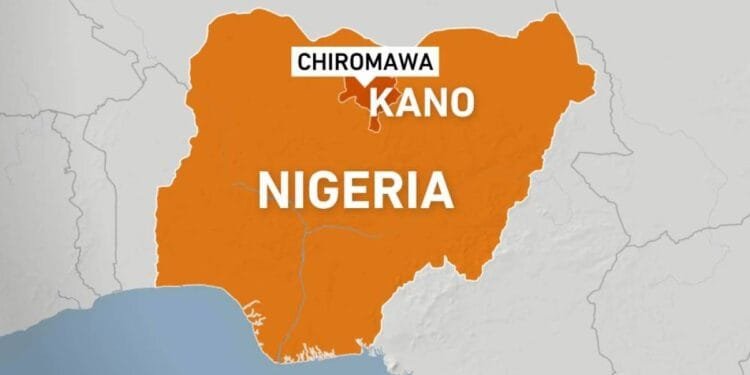 Bus plunges off bridge in northern Nigeria, killing 22 athletes