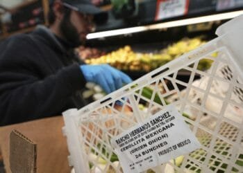 Businesses scramble to contain fallout from Trump’s tariffs on Canada, China and Mexico