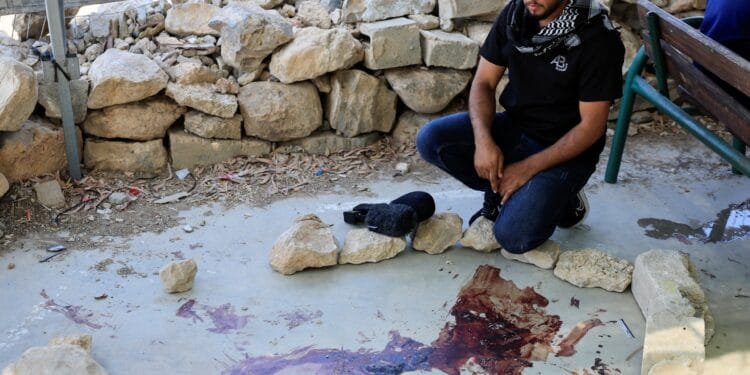 Calls for US to sanction Israeli settlers after Palestinian activist killed