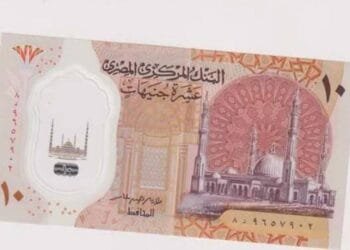 Car cleaner stabbed to death for asking 10 Egyptian Pounds from motorist