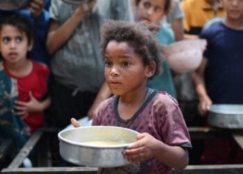 Charities urge shutdown of US- and Israel-backed Gaza aid group