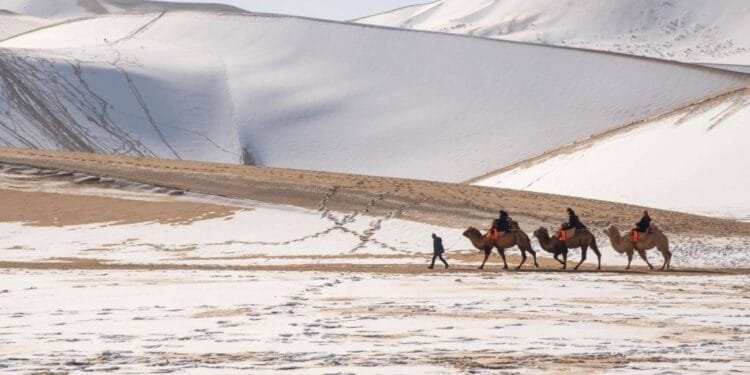 Chinese researchers develop new frost-resistant sand-control agent