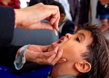 Cholera should not be killing anyone in 21st century: WHO