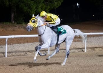Coen guides Al Laith to victory in feature at Al Ain Racecourse