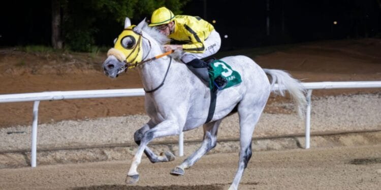 Coen guides Al Laith to victory in feature at Al Ain Racecourse