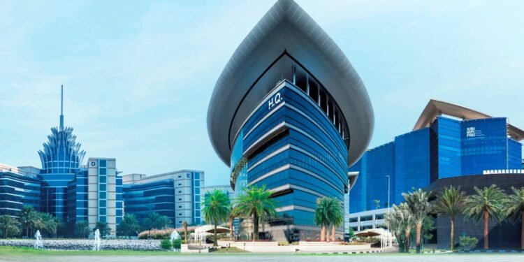 DIEZ trade surges 19% to Dhs336 billion in 2024