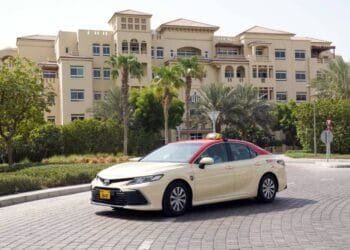 DTC’s revenue increases 12% to Dhs2.20 billion in 2024