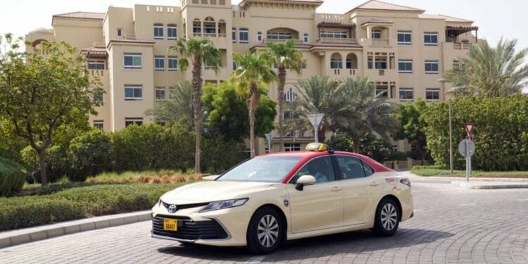 DTC’s revenue increases 12% to Dhs2.20 billion in 2024