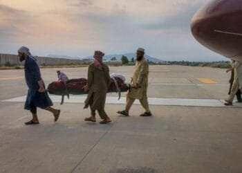 Deadly earthquake hits Afghanistan: What we know so far