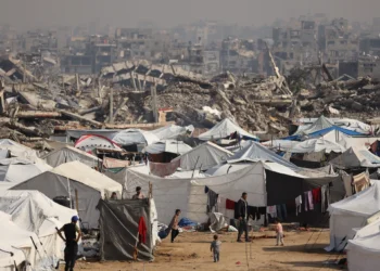 Despite Gaza ceasefire, ‘we haven’t seen the worst’: B’Tselem chief