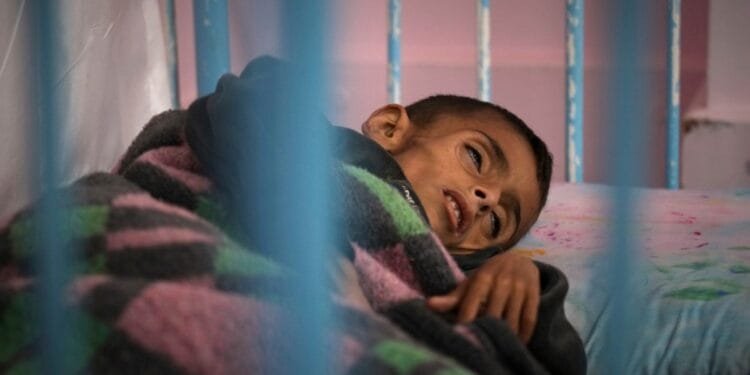 Dozens of Palestinians starved to death under Israel’s blockade of Gaza